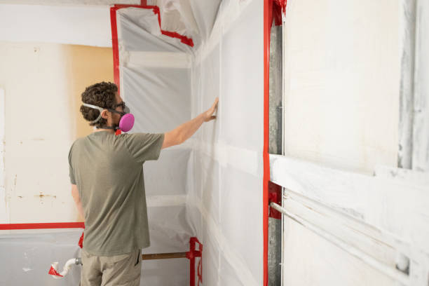 Best Black Mold Removal  in Aspen, CO