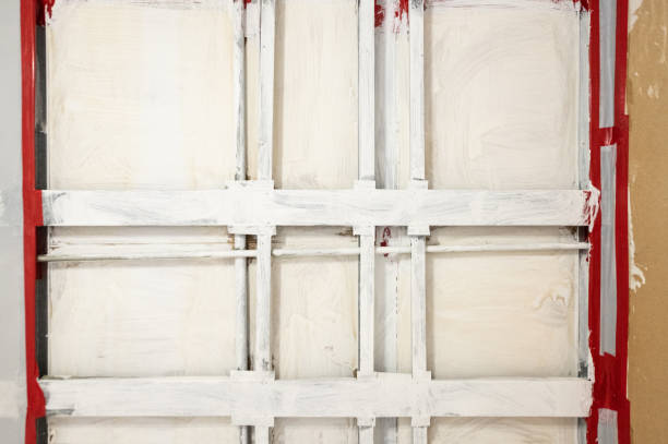 Trusted Aspen, CO Mold Removal Experts