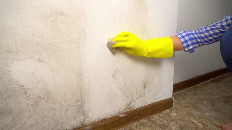 Best Biohazard Mold Removal  in Aspen, CO